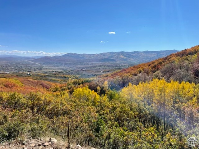 Property view of mountains with a view of trees