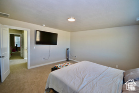 Carpeted bedroom featuring visible vents and baseboards