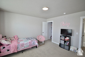 Bedroom featuring baseboards and carpet