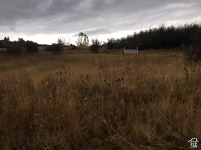 View of nature featuring a rural view
