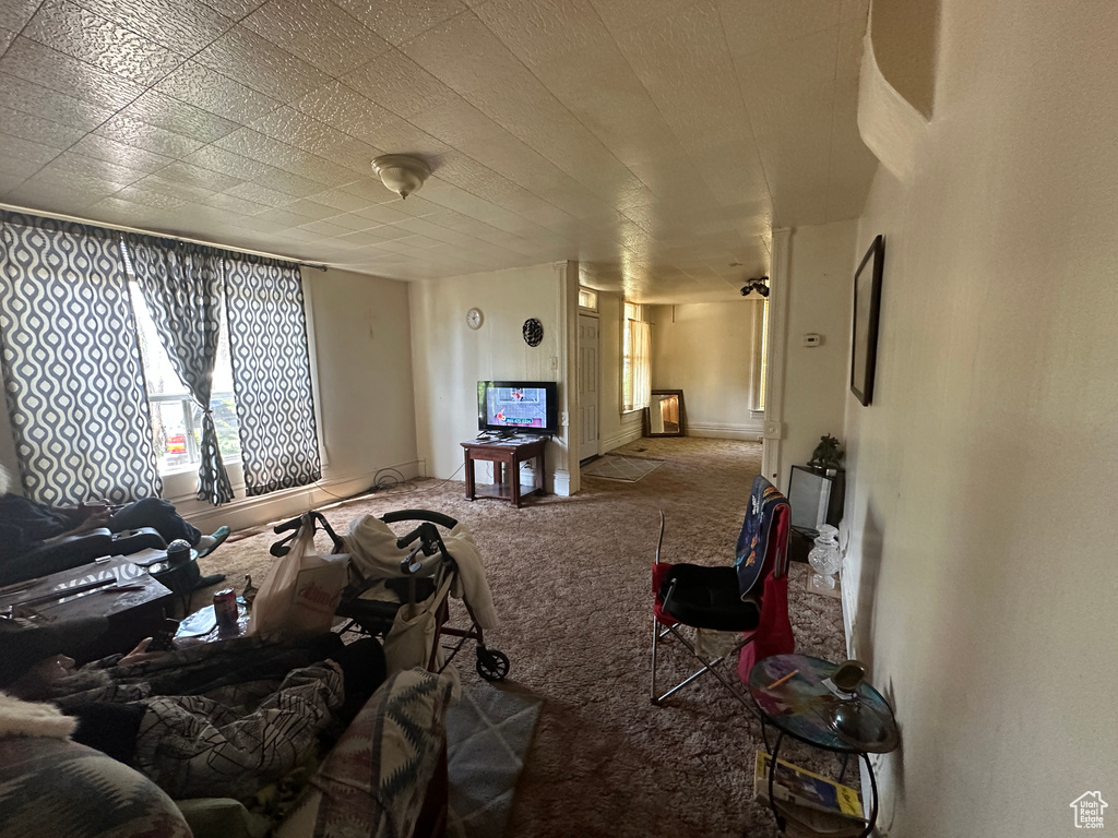 Living room with carpet