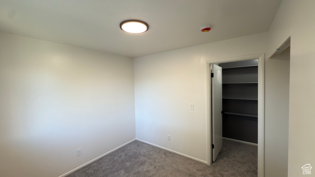 Unfurnished bedroom featuring carpet floors, baseboards, a walk in closet, and a closet