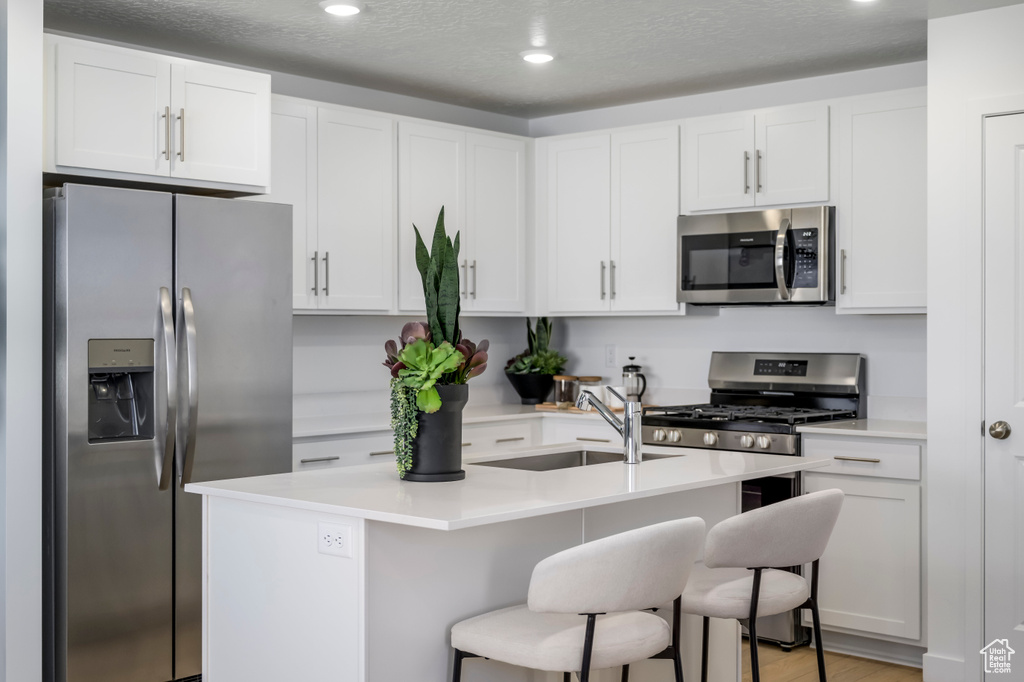 Kitchen with stainless steel appliances, white cabinetry, and a sink