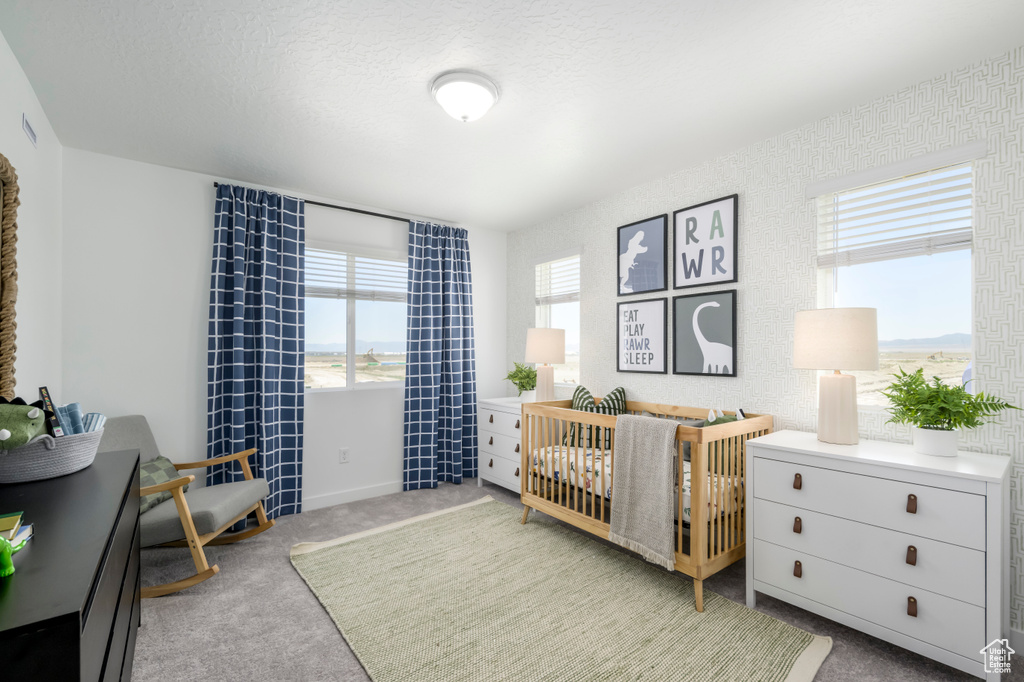 Carpeted bedroom featuring a crib and multiple windows