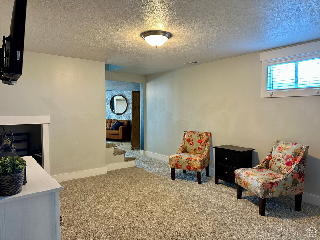 Living area featuring a textured ceiling, visible vents, baseboards, and carpet