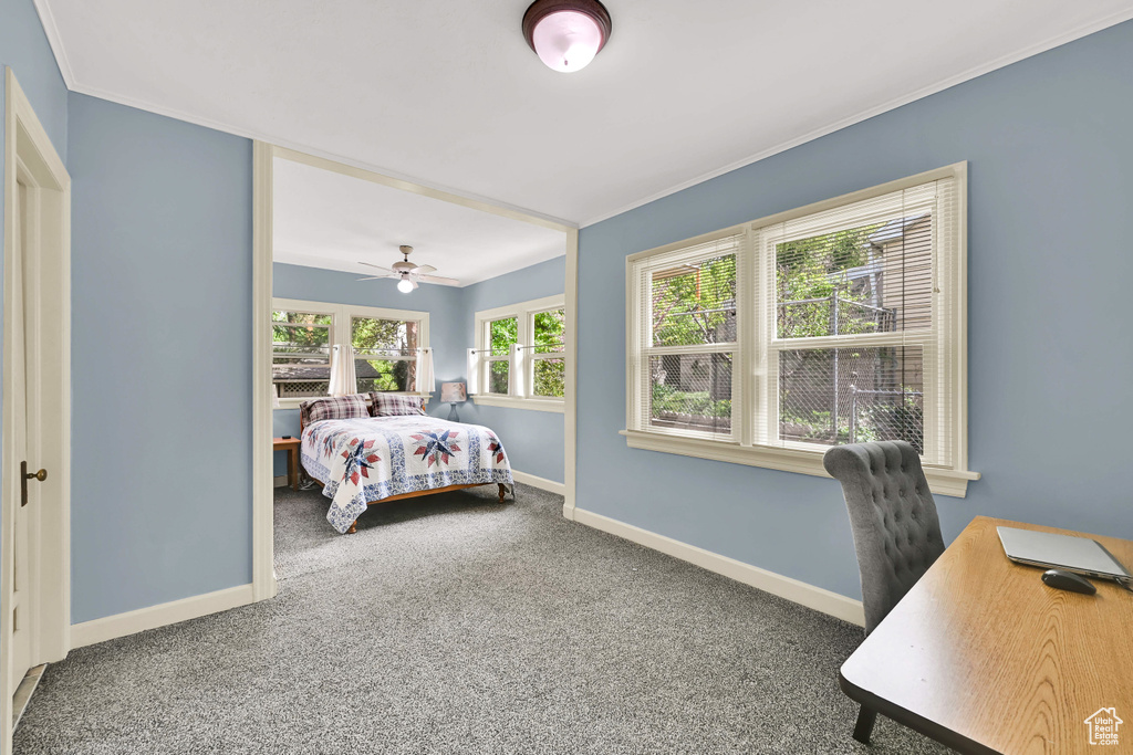 Carpeted bedroom featuring crown molding, baseboards, and ceiling fan