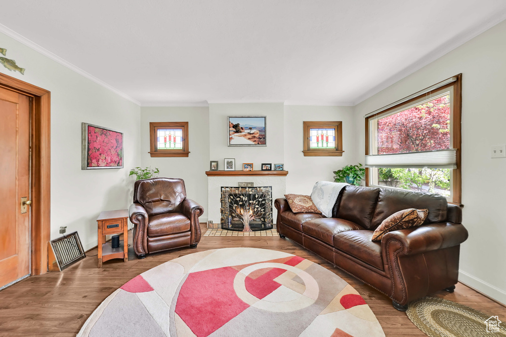 Living room with ornamental molding, a fireplace, wood finished floors, and a wealth of natural light