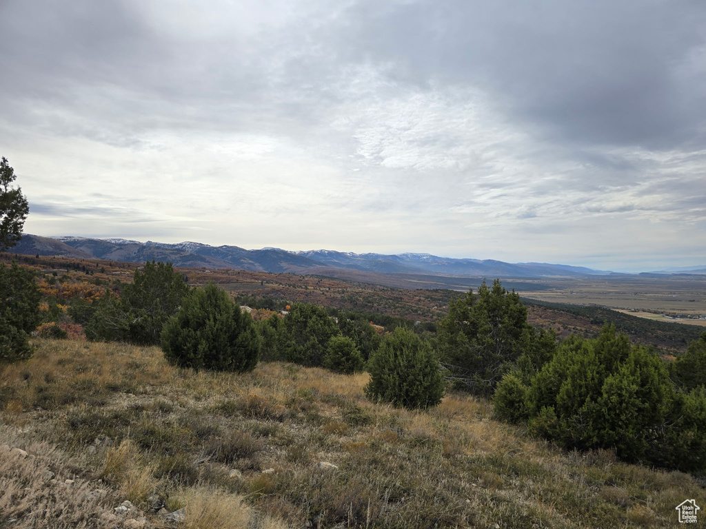 Mountain view