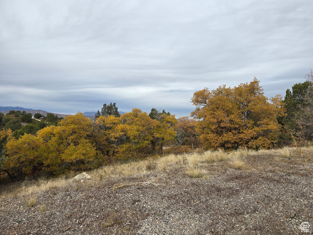 View of landscape featuring a wooded view