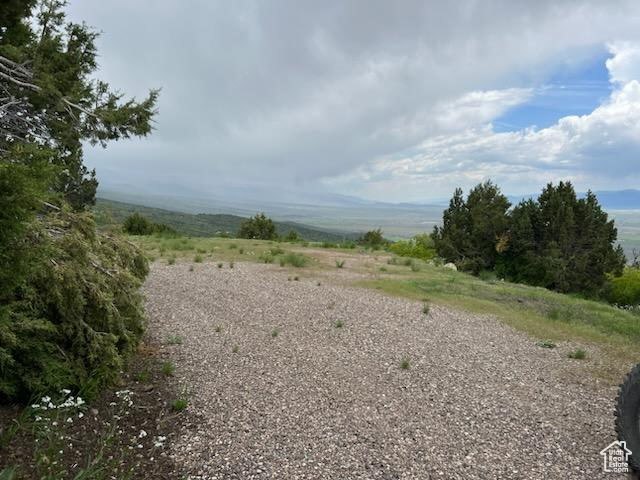 View of local wilderness