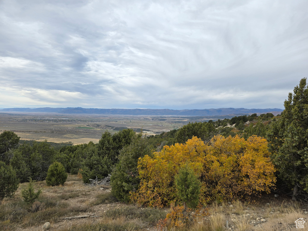 Mountain view