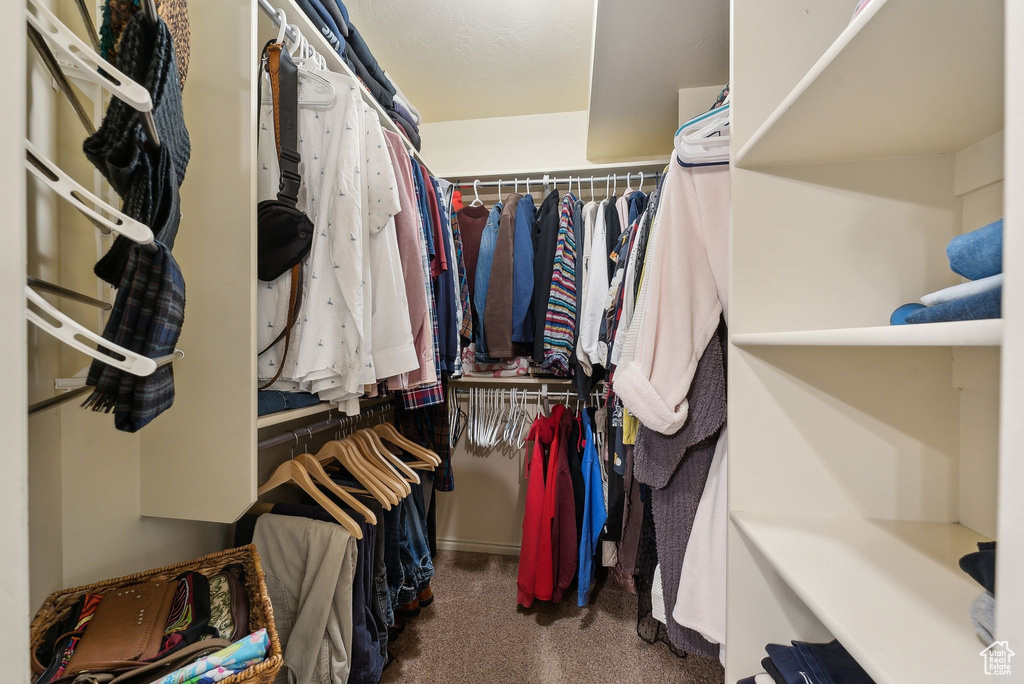 Walk in closet with carpet flooring