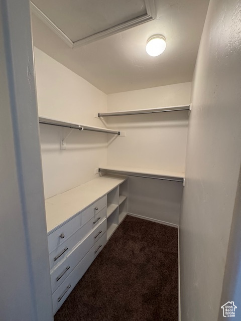 Walk in closet with dark colored carpet
