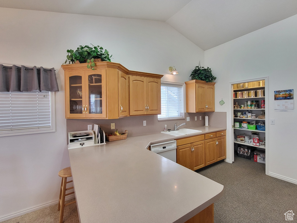 Kitchen with a sink, dishwasher, light countertops, dark colored carpet, and lofted ceiling