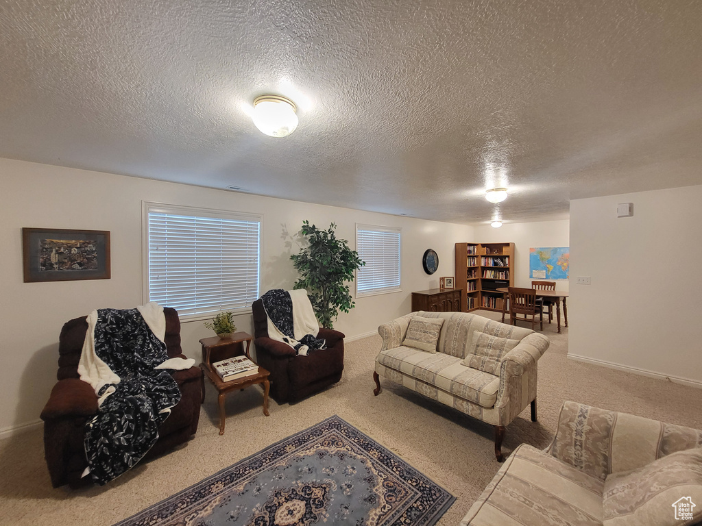 Living area with carpet floors, baseboards, and a textured ceiling