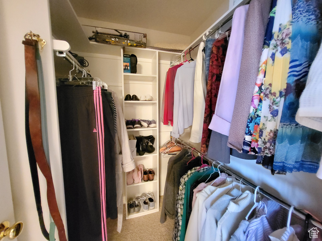 Spacious closet with carpet flooring