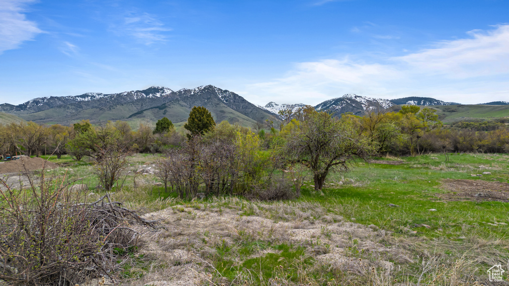 Mountain view