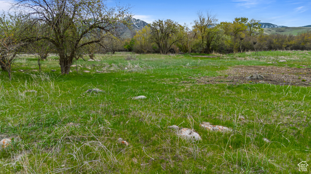 View of yard featuring a mountain view