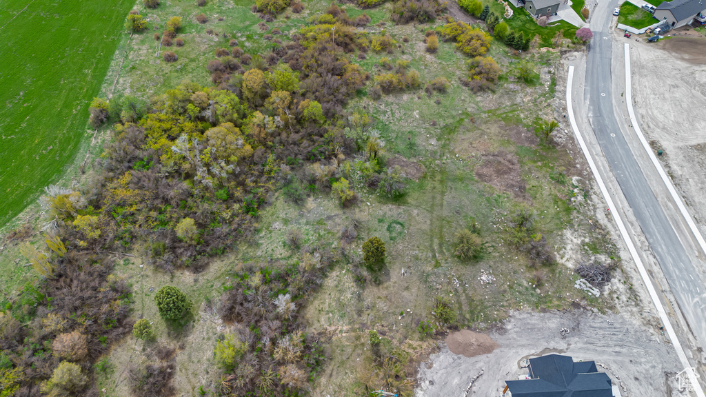 Bird\\\'s eye view