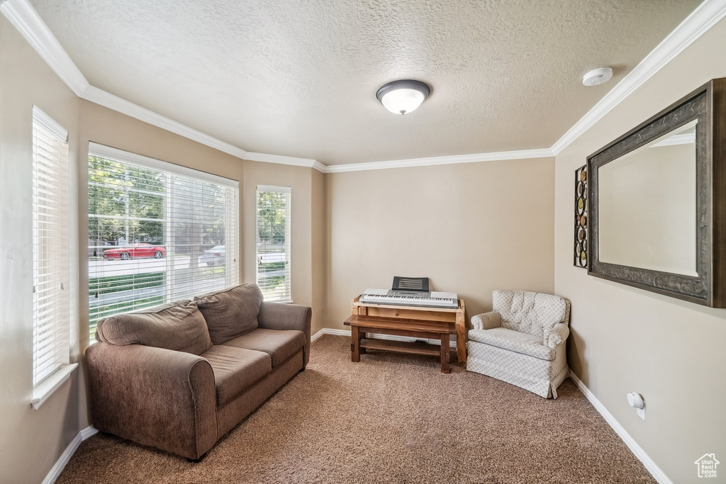 Carpeted living area featuring ornamental molding, a textured ceiling, and baseboards