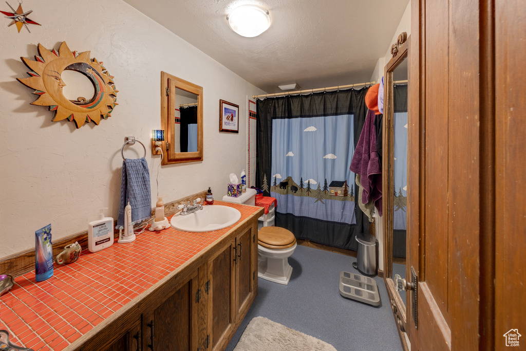 Full bathroom featuring a shower with curtain, toilet, and vanity