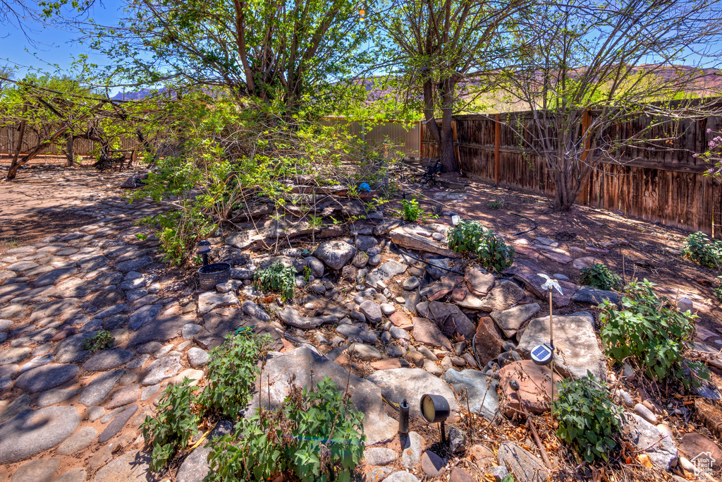 View of fenced backyard