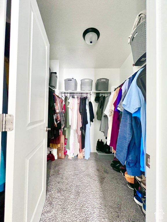 Spacious closet featuring carpet flooring