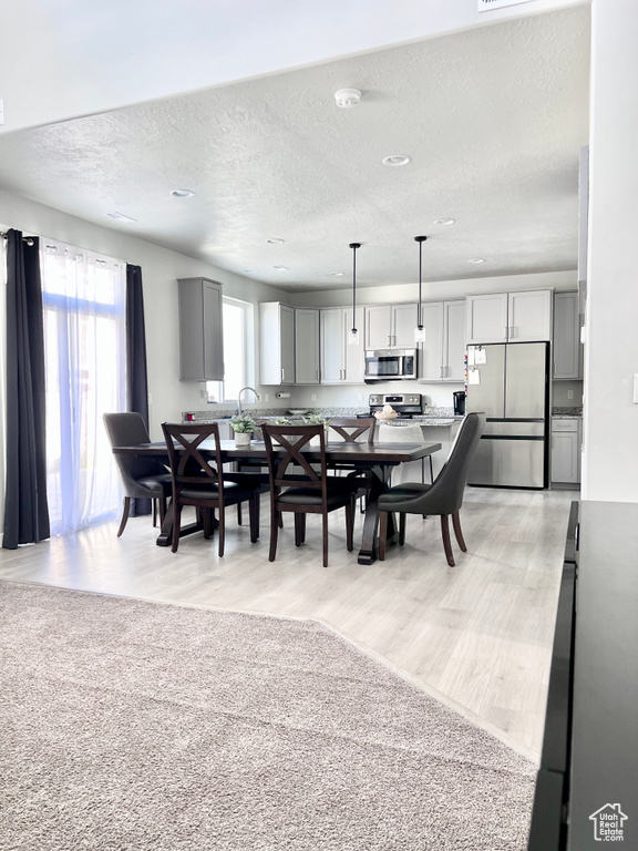 Dining room with light wood-type flooring, a textured ceiling, and a healthy amount of sunlight