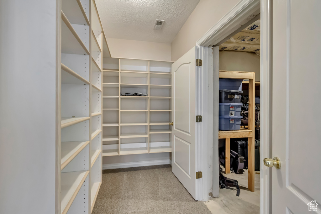 Walk in closet featuring carpet flooring