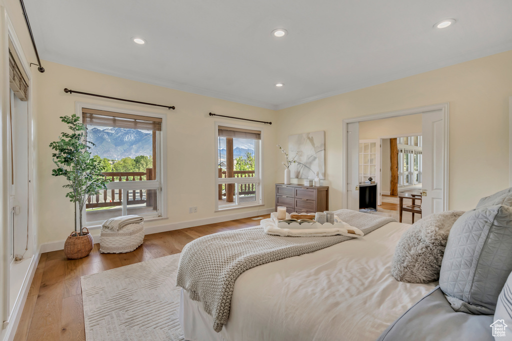 11362 PALISADE VIEW DR South Jordan, UT 84095