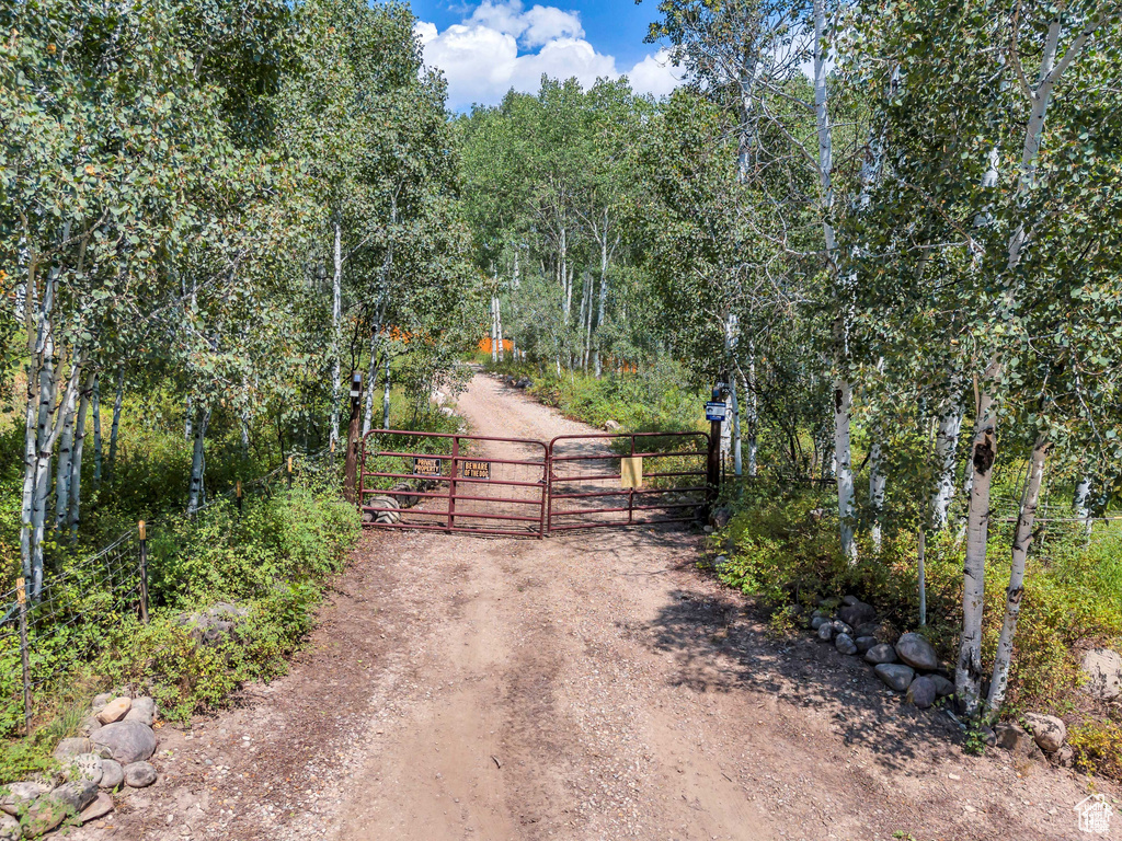 View of road with a gate, a gated entry, and dirt driveway