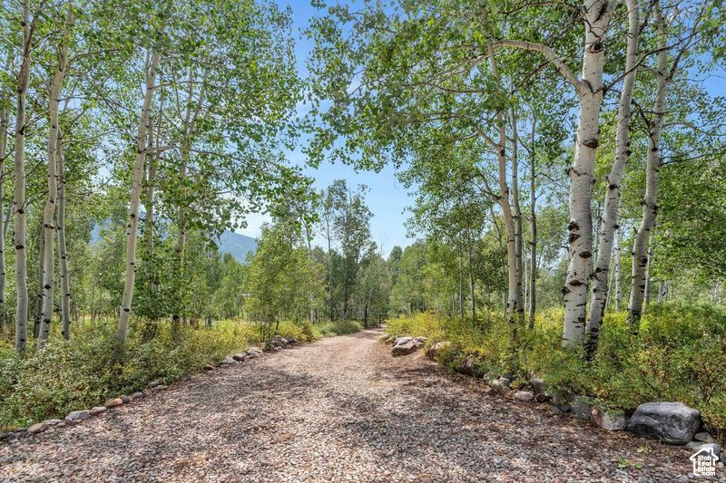 View of road with a wooded view