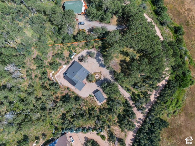 Bird\\\'s eye view