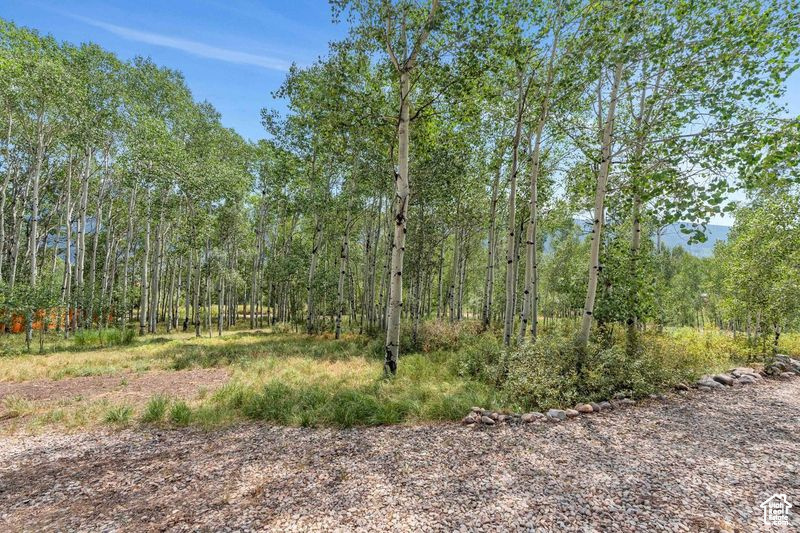 View of nature featuring a wooded view