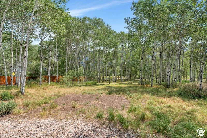 View of nature with a forest view