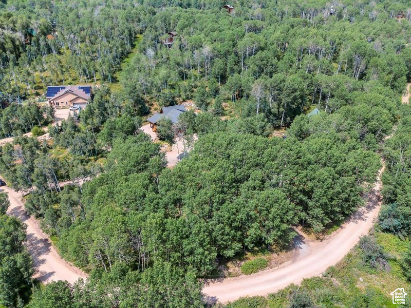 Drone / aerial view with a wooded view