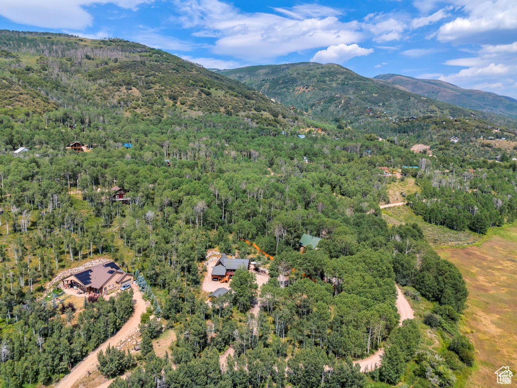 Aerial view with a view of trees and a mountain view