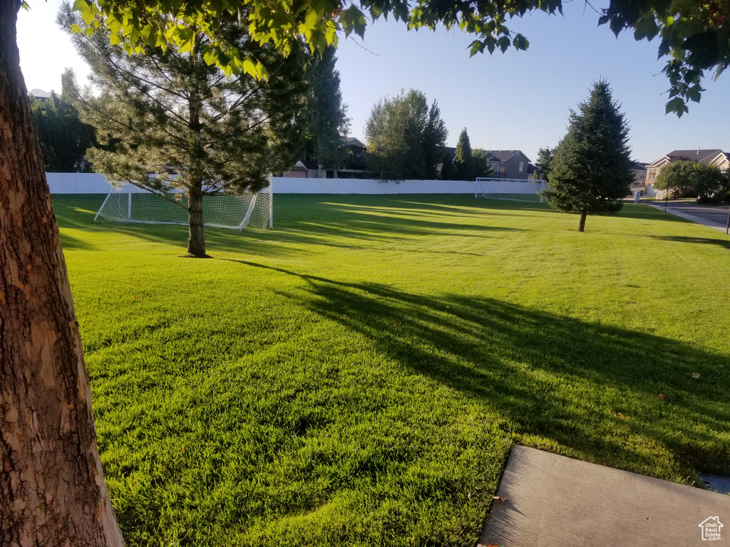 View of yard featuring a sport area