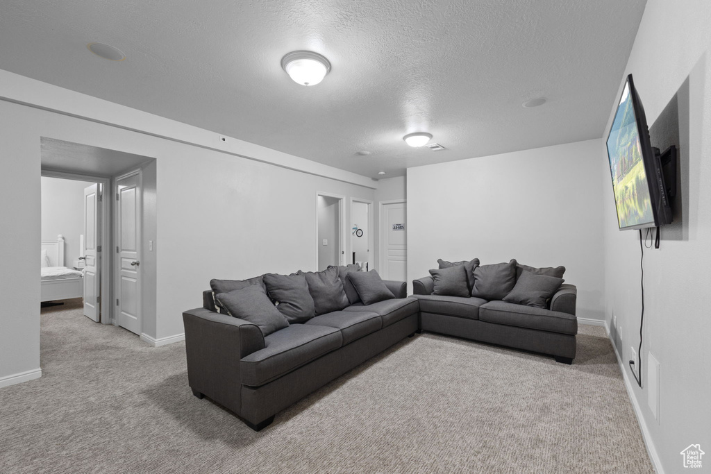 Living area with light colored carpet, baseboards, and a textured ceiling