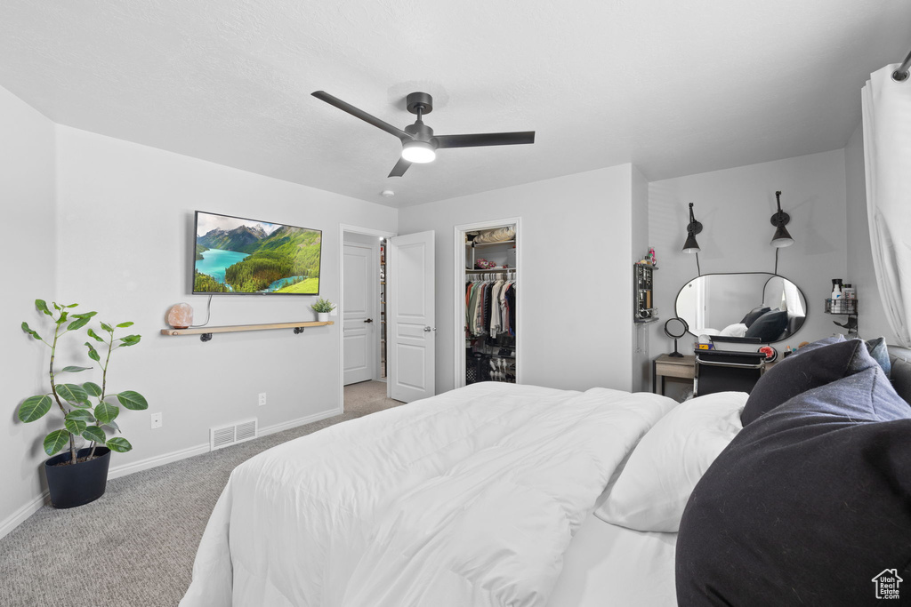 Carpeted bedroom with baseboards, a ceiling fan, visible vents, and a spacious closet