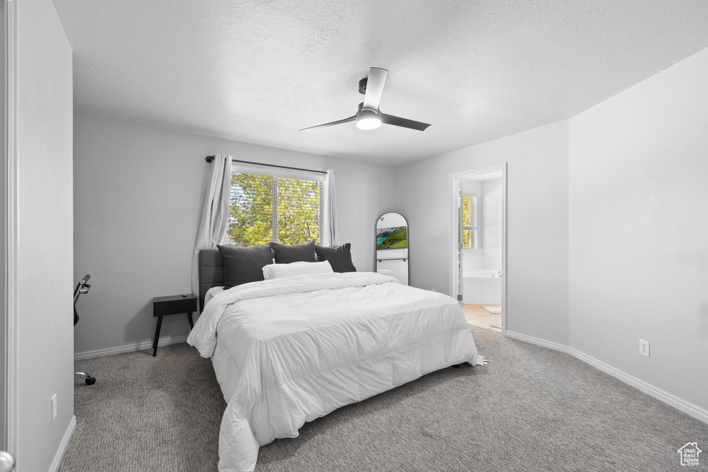 Bedroom featuring carpet floors, a textured ceiling, and baseboards