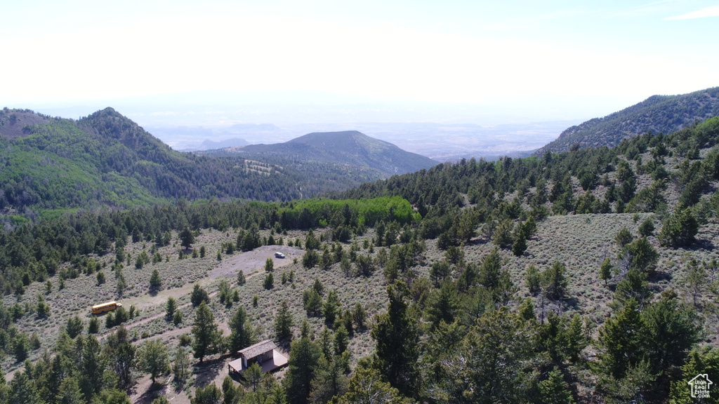 Mountain view featuring a wooded view