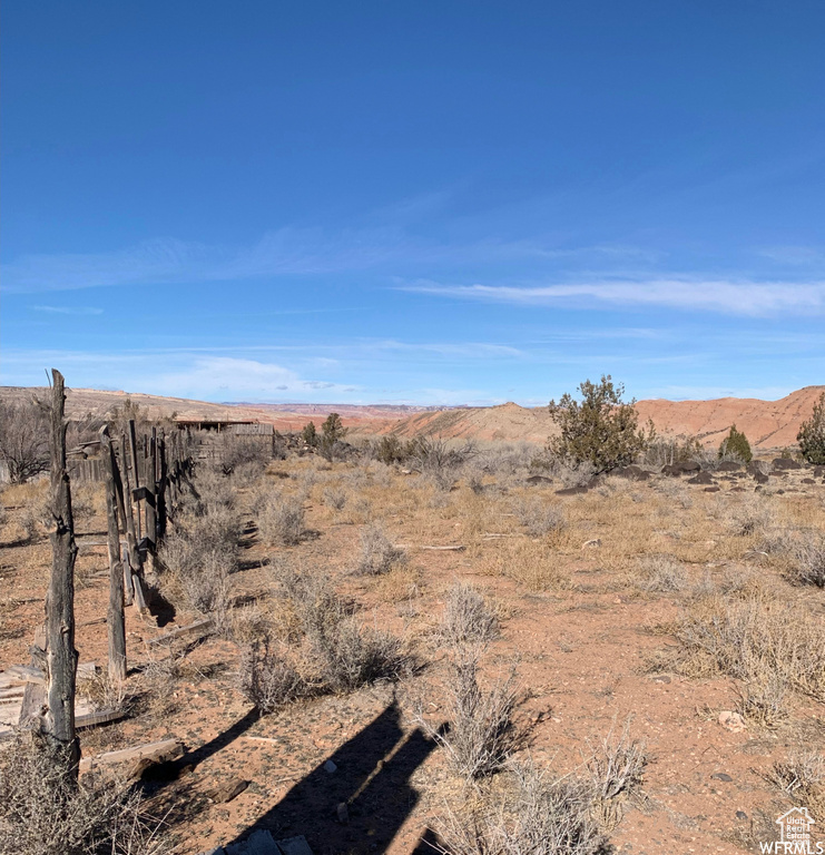 View of local wilderness