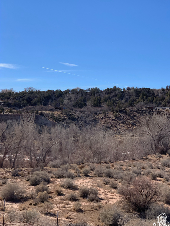 View of local wilderness