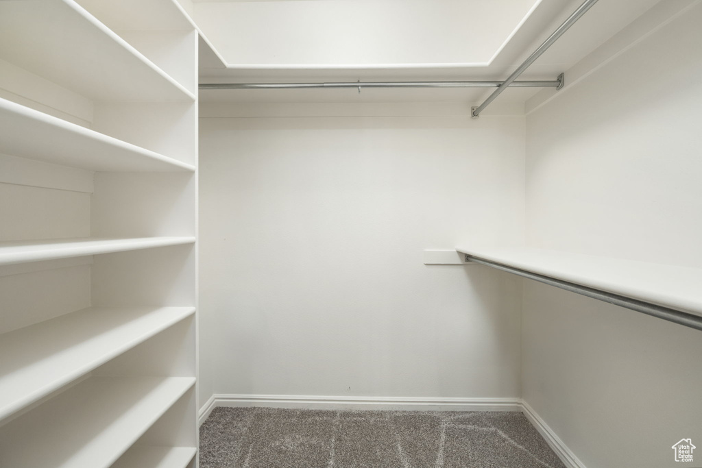 Walk in closet featuring carpet