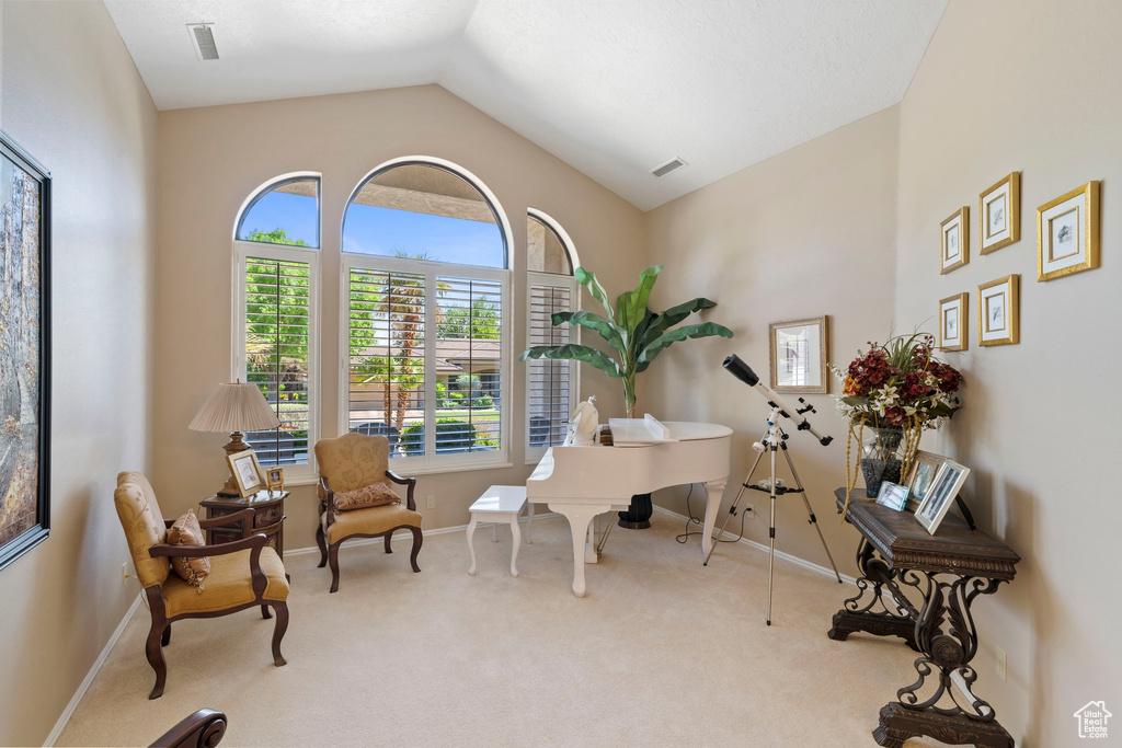 Office area with visible vents, baseboards, carpet floors, and lofted ceiling