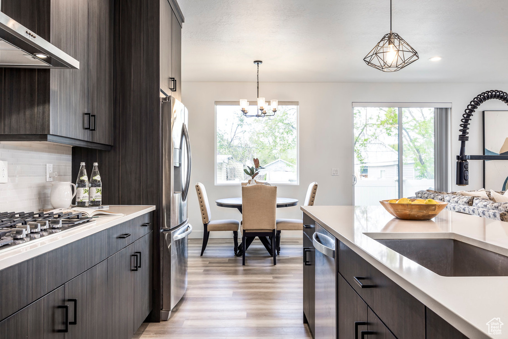 Kitchen with light countertops, ventilation hood, a sink, light wood finished floors, and appliances with stainless steel finishes