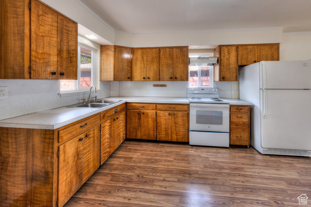 Kitchen featuring brown cabinets, a sink, white appliances, light countertops, and under cabinet range hood