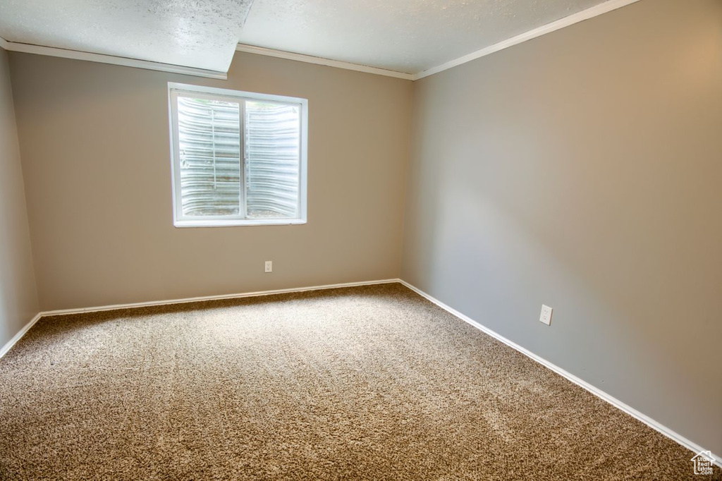 Unfurnished room with baseboards, ornamental molding, and carpet