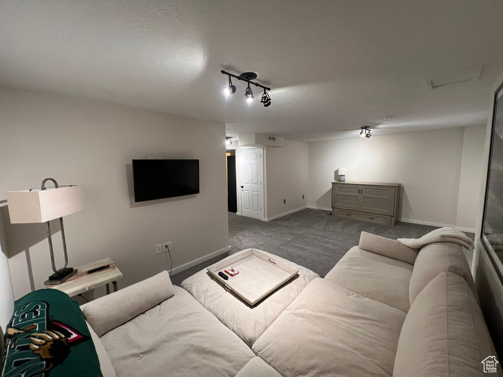 Carpeted living room featuring track lighting and baseboards